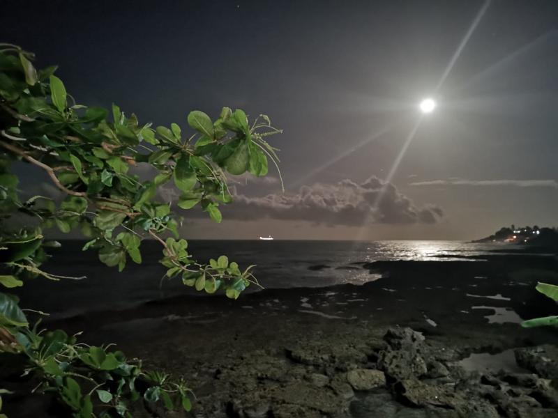 Hotel Playa Bonita Puerto Limon Exteriör bild